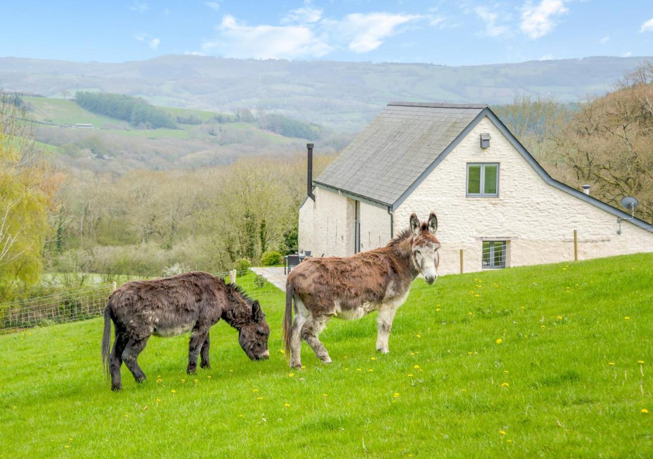Appartement Usk Barn à Llanbadoc Extérieur photo